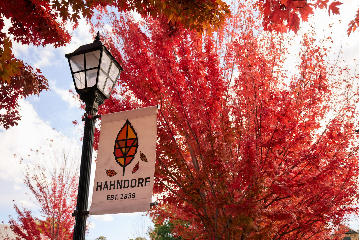HAHNDORF SOUTH AUSTRALIA - BUSINESS LISTING WEBSITE